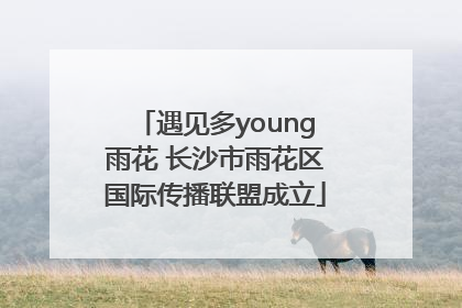 遇见多young雨花 长沙市雨花区国际传播联盟成立