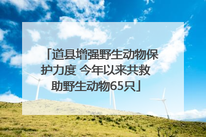 道县增强野生动物保护力度 今年以来共救助野生动物65只
