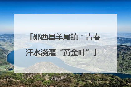 郧西县羊尾镇：青春汗水浇灌“黄金叶”