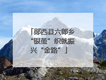 郧西县六郎乡“银茧”织就振兴“金路”