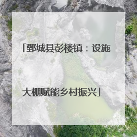 鄄城县彭楼镇：设施大棚赋能乡村振兴