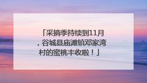 采摘季持续到11月，谷城县庙滩镇邓家湾村的蜜桃丰收啦！