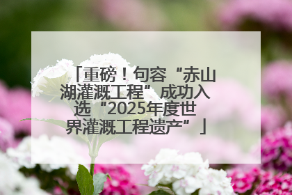 重磅！句容“赤山湖灌溉工程”成功入选“2025年度世界灌溉工程遗产”