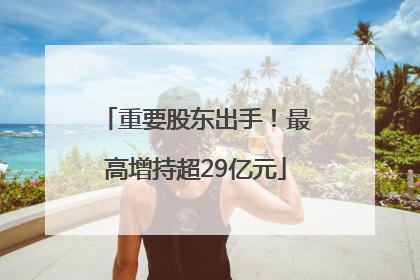 重要股东出手！最高增持超29亿元