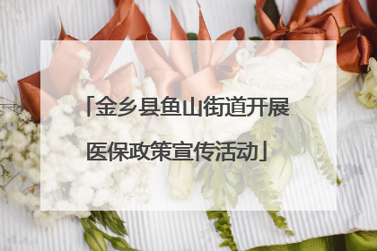 金乡县鱼山街道开展医保政策宣传活动