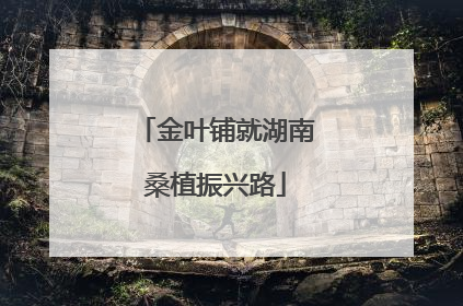 金叶铺就湖南桑植振兴路