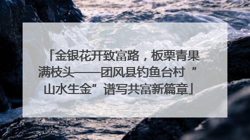 金银花开致富路，板栗青果满枝头——团风县钓鱼台村“山水生金”谱写共富新篇章