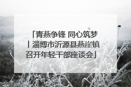 青燕争锋 同心筑梦丨淄博市沂源县燕崖镇召开年轻干部座谈会