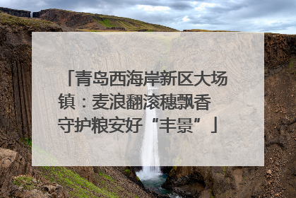 青岛西海岸新区大场镇：麦浪翻滚穗飘香 守护粮安好“丰景”