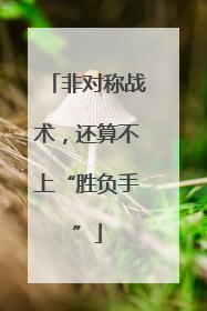 非对称战术，还算不上“胜负手”