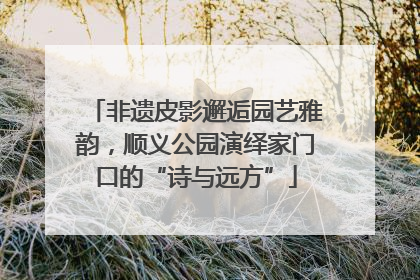 非遗皮影邂逅园艺雅韵，顺义公园演绎家门口的“诗与远方”