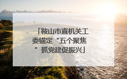 鞍山市直机关工委锚定“五个聚焦”抓党建促振兴