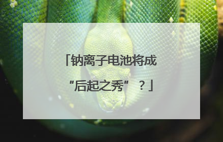 钠离子电池将成“后起之秀”？