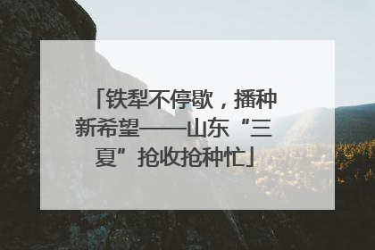 铁犁不停歇，播种新希望——山东“三夏”抢收抢种忙