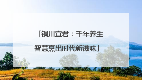 铜川宜君：千年养生智慧烹出时代新滋味