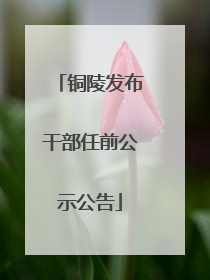 铜陵发布干部任前公示公告