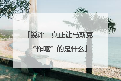 锐评｜真正让马斯克“作呕”的是什么