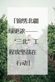 锦绣北疆绿更浓——“三北”工程攻坚战在行动