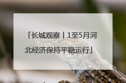 长城观察丨1至5月河北经济保持平稳运行