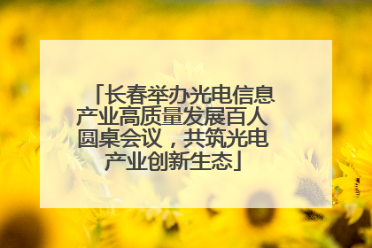 长春举办光电信息产业高质量发展百人圆桌会议，共筑光电产业创新生态