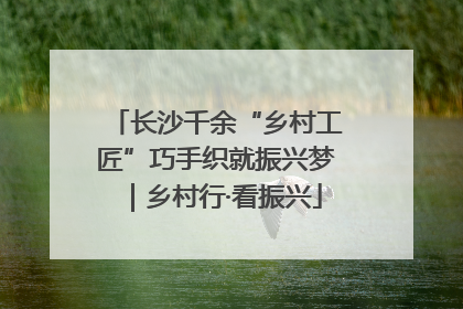 长沙千余“乡村工匠”巧手织就振兴梦｜乡村行·看振兴