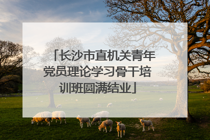 长沙市直机关青年党员理论学习骨干培训班圆满结业