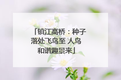 镇江高桥：种子落处飞鸟至 人鸟和谐趣景来