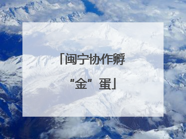 闽宁协作孵“金”蛋