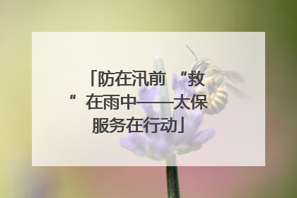 防在汛前 “救”在雨中——太保服务在行动