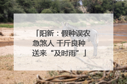 阳新：假种误农急煞人 千斤良种送来“及时雨”