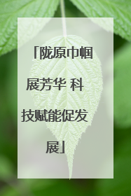 陇原巾帼展芳华 科技赋能促发展