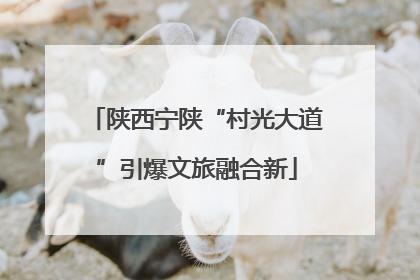 陕西宁陕“村光大道”引爆文旅融合新