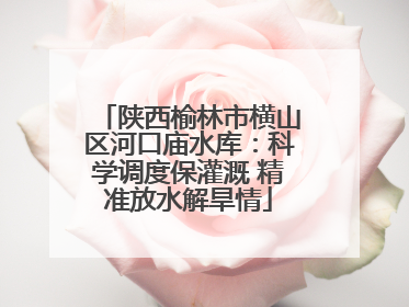陕西榆林市横山区河口庙水库：科学调度保灌溉 精准放水解旱情