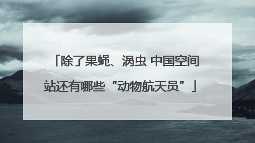 除了果蝇、涡虫 中国空间站还有哪些“动物航天员”