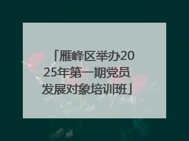 雁峰区举办2025年第一期党员发展对象培训班