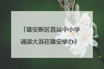 雄安新区首届中小学诵读大赛在雄安举办