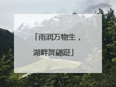 雨润万物生，湖畔舞翩跹