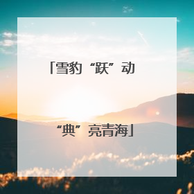 雪豹“跃”动 “典”亮青海