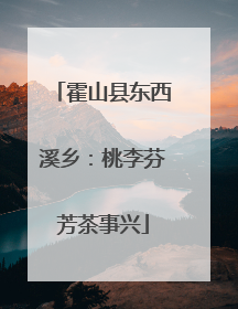 霍山县东西溪乡：桃李芬芳茶事兴