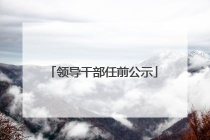 领导干部任前公示