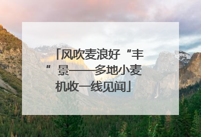 风吹麦浪好“丰”景——多地小麦机收一线见闻