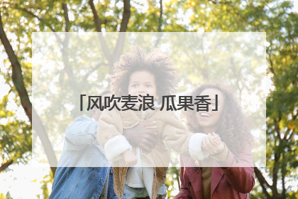 风吹麦浪 瓜果香
