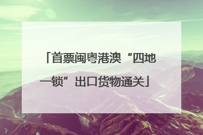 首票闽粤港澳“四地一锁”出口货物通关