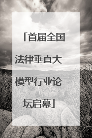 首届全国法律垂直大模型行业论坛启幕