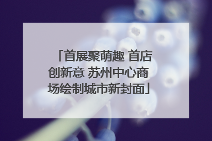首展聚萌趣 首店创新意 苏州中心商场绘制城市新封面