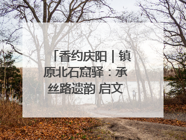 香约庆阳｜镇原北石窟驿：承丝路遗韵 启文旅创新篇章