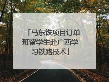 马东铁项目订单班留学生赴广西学习铁路技术