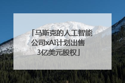 马斯克的人工智能公司xAI计划出售3亿美元股权