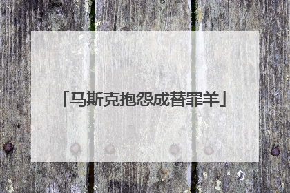 马斯克抱怨成替罪羊