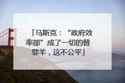 马斯克：“政府效率部”成了一切的替罪羊，这不公平